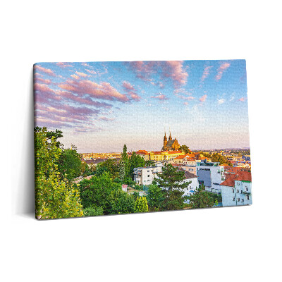 Obraz z fotografie na plátně 60x40 cm Budovy Brno Česká republika