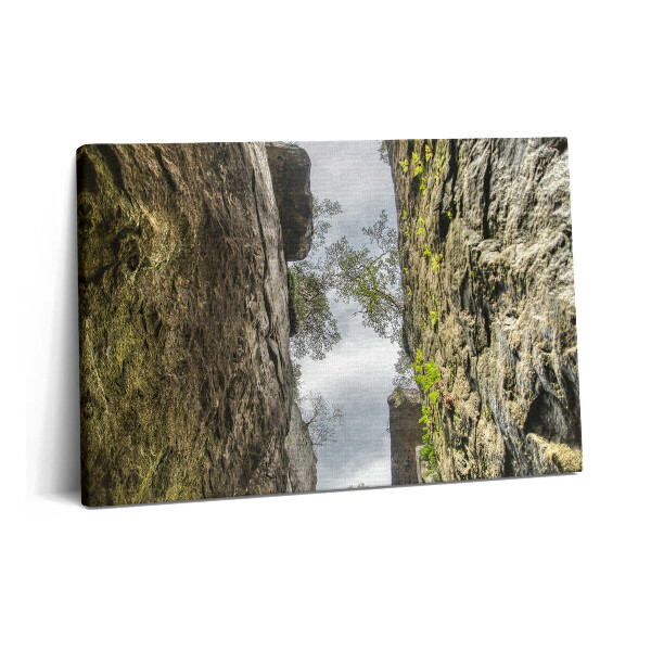 Obraz canvas 60x40 cm Rockové město v České republice