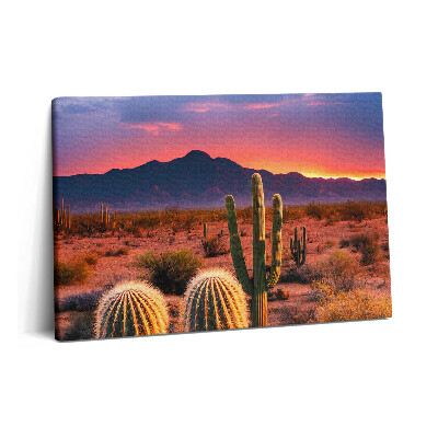 Obraz z fotografie na plátně 60x40 cm Západ slunce v poušti