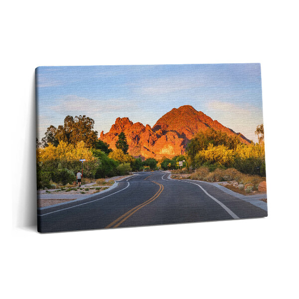 Obraz canvas 60x40 cm Pohled na horu Camelback