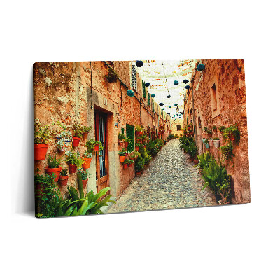 Obraz na plátně 60x40 cm Ulice ve vesnici Valldemossa