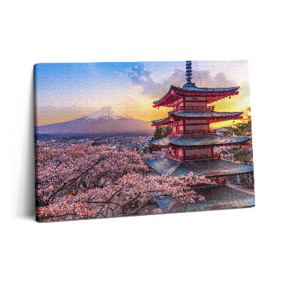 Obraz z fotografie na plátně 60x40 cm Japonská stavba