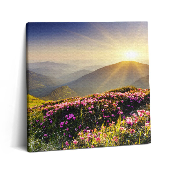 Obraz na plátně 60x60 cm Hory a louka s květinami