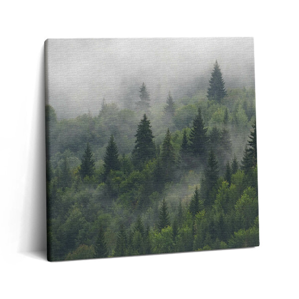 Obraz canvas 60x60 cm Lesní krajina v mlze