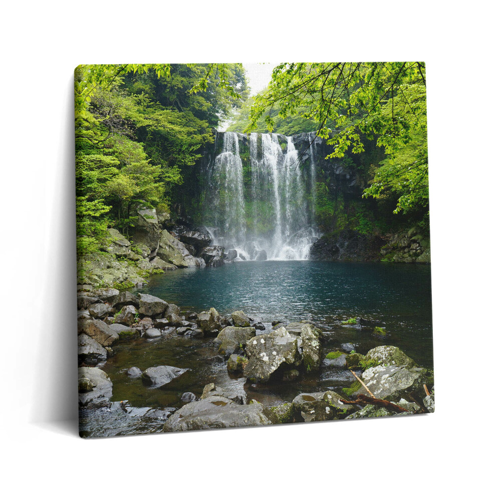 Obraz z fotografie na plátně 60x60 cm Vodopád a řeka mezi stromy