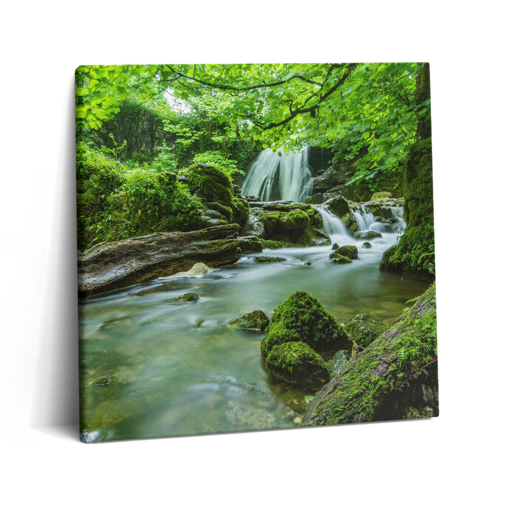 Obraz canvas 60x60 cm Vodopád v divoké džungli