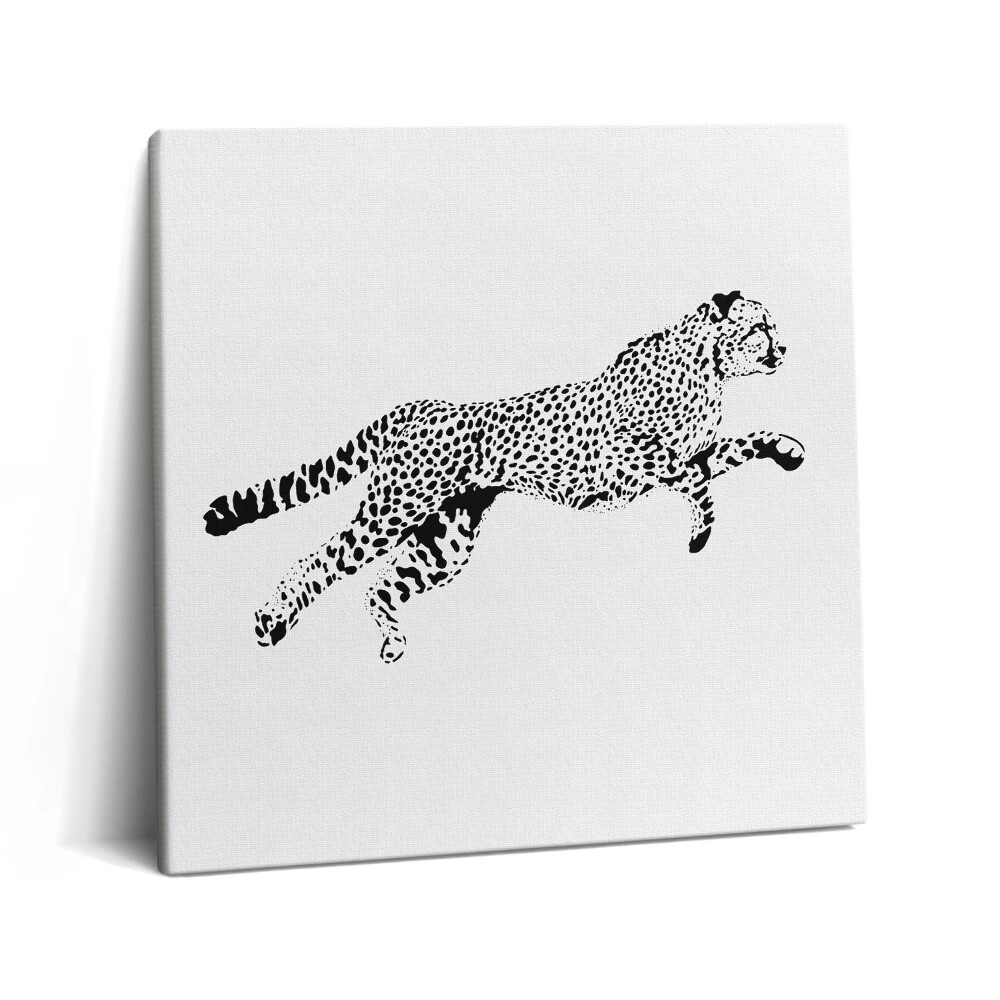 Obraz z fotografie na plátně 60x60 cm Silueta pantera