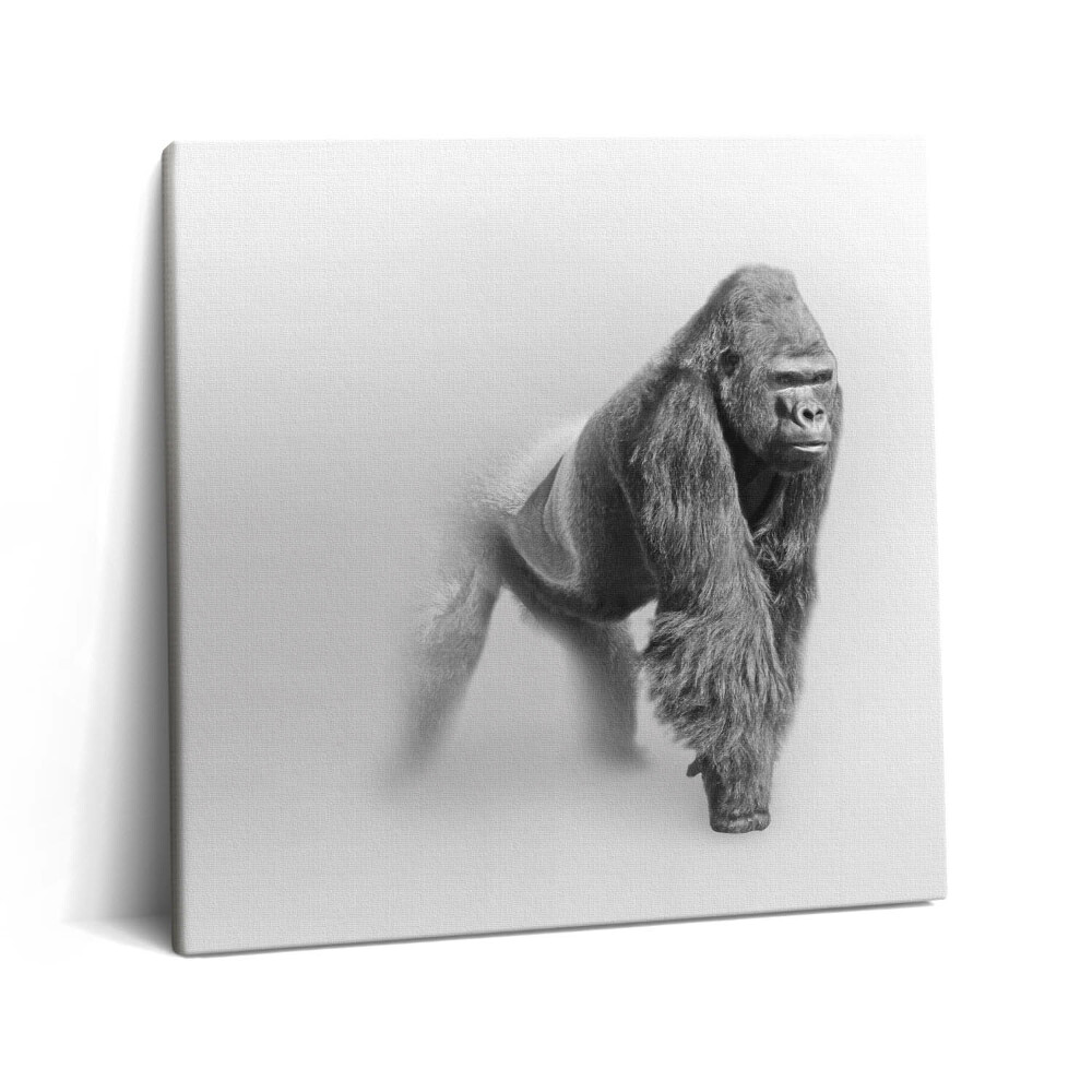 Obraz z fotografie na plátně 60x60 cm Sbírka umění divoké zvěře