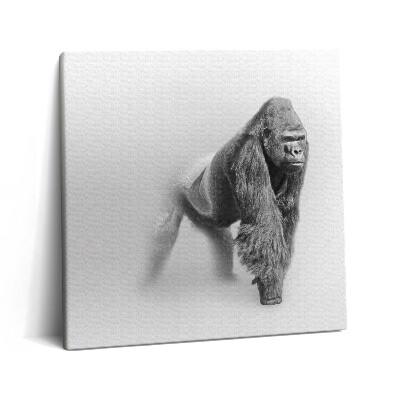 Obraz z fotografie na plátně 60x60 cm Sbírka umění divoké zvěře