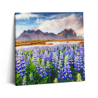 Obraz canvas 60x60 cm Kouzelné květy lupiny