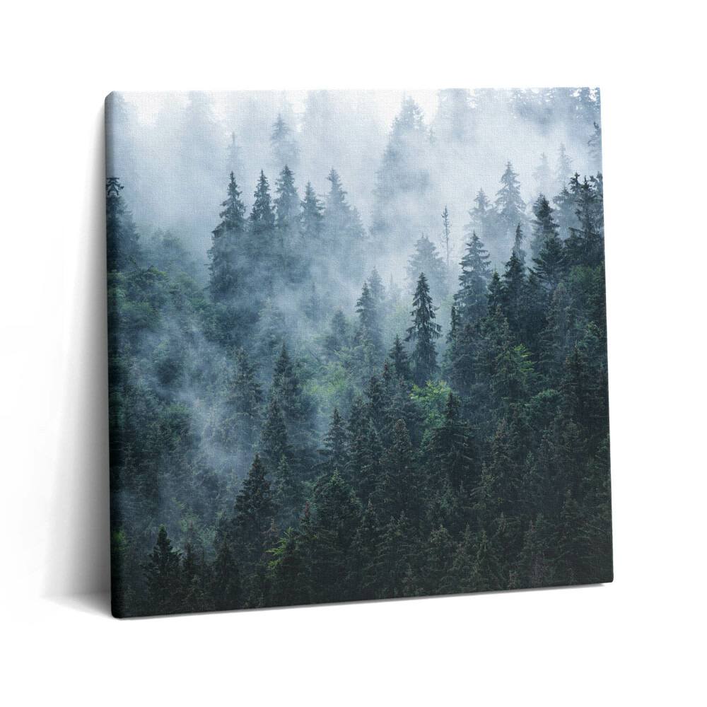 Obraz canvas 60x60 cm Mlžná horská krajina