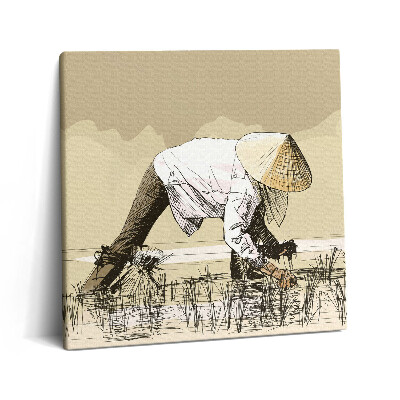 Obraz z fotografie na plátně 60x60 cm Dvě ženy sbírající rýži v Asii