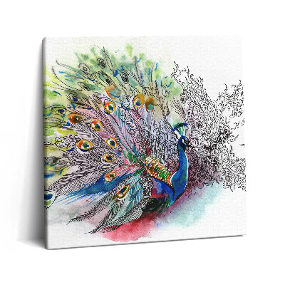 Obraz z fotografie na plátně 60x60 cm Barevný páv