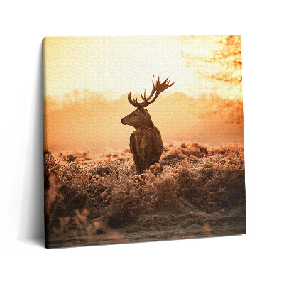 Obraz na plátně 60x60 cm Jelen při východu slunce
