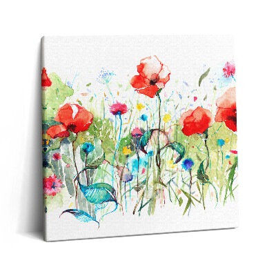 Obraz canvas 60x60 cm Mák na louce
