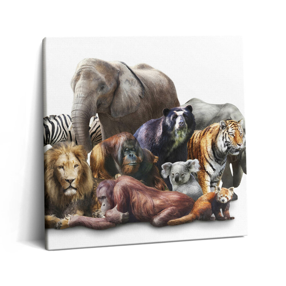 Obraz z fotografie na plátně 60x60 cm Divoká příroda