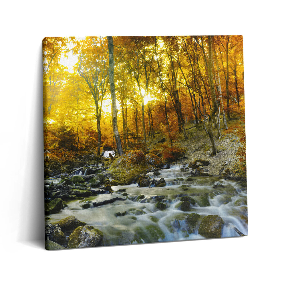 Obraz z fotografie na plátně 60x60 cm Podzimní les