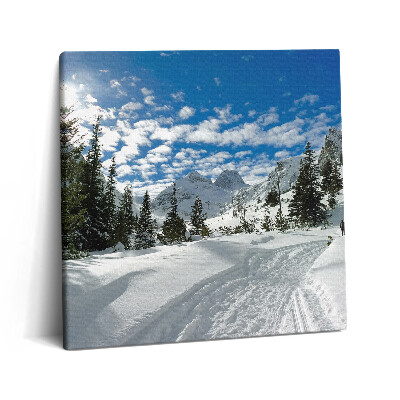 Obraz z fotografie na plátně 60x60 cm Hornatá krajina v zimě