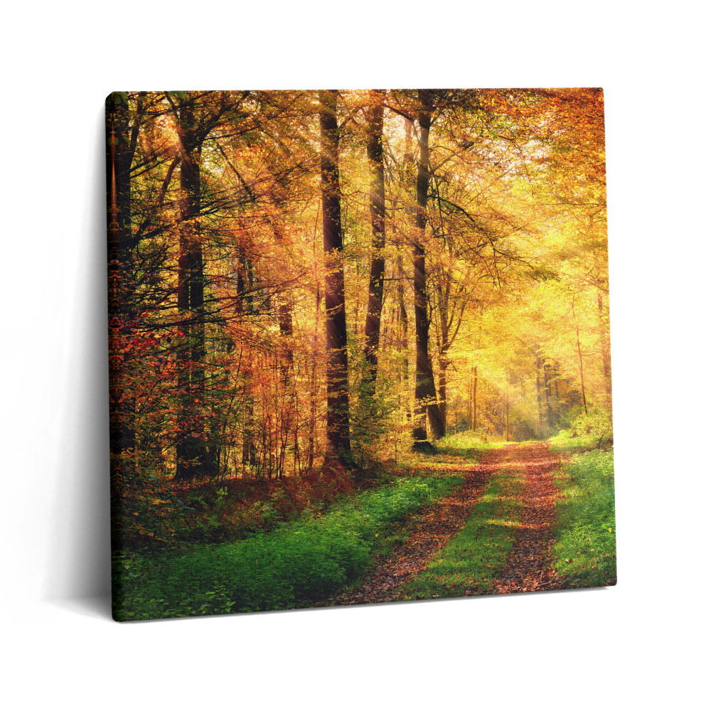 Obraz z fotografie na plátně 60x60 cm Podzimní krajina lesa