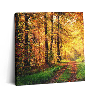 Obraz z fotografie na plátně 60x60 cm Podzimní krajina lesa