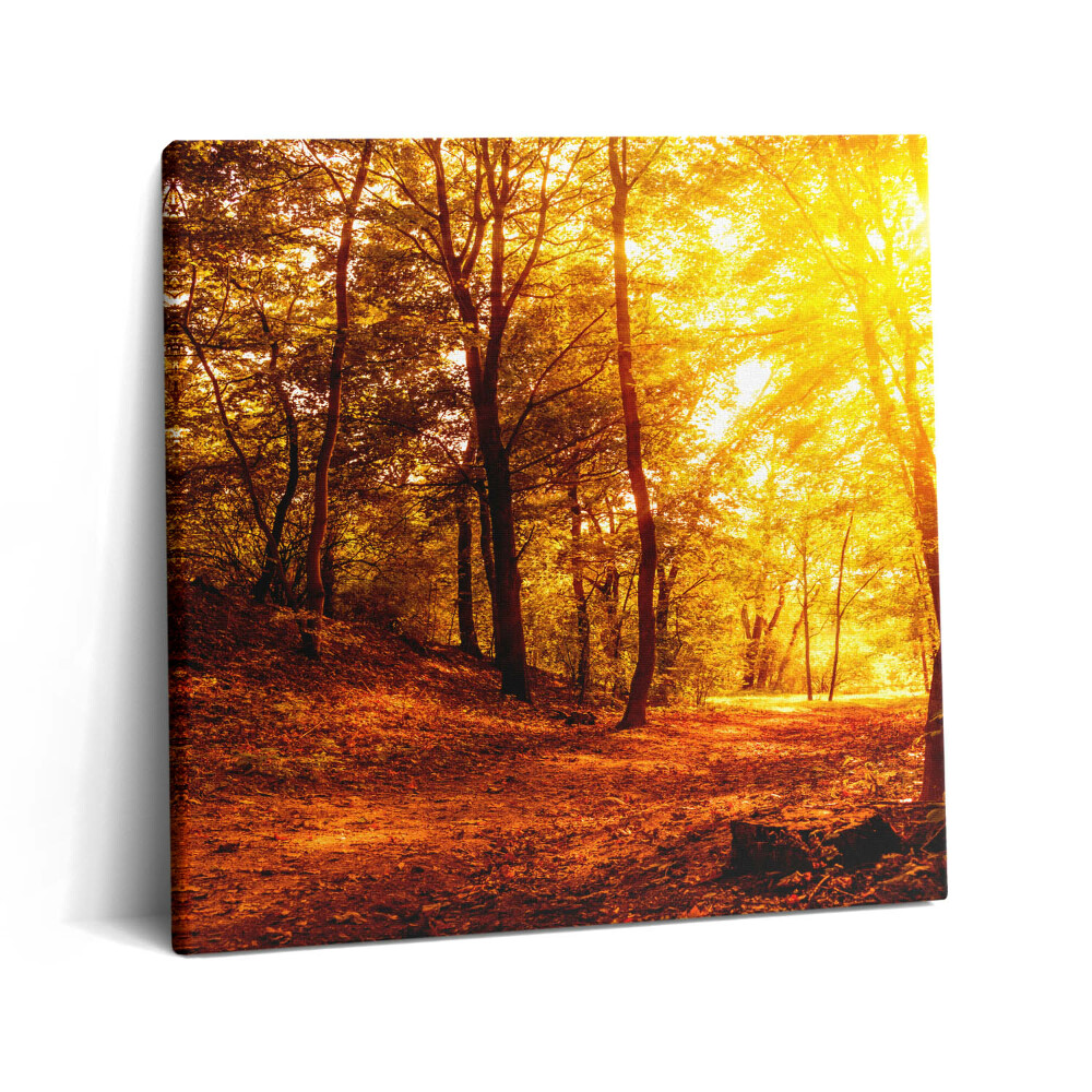 Obraz canvas 60x60 cm Podzimní krajina se západem slunce