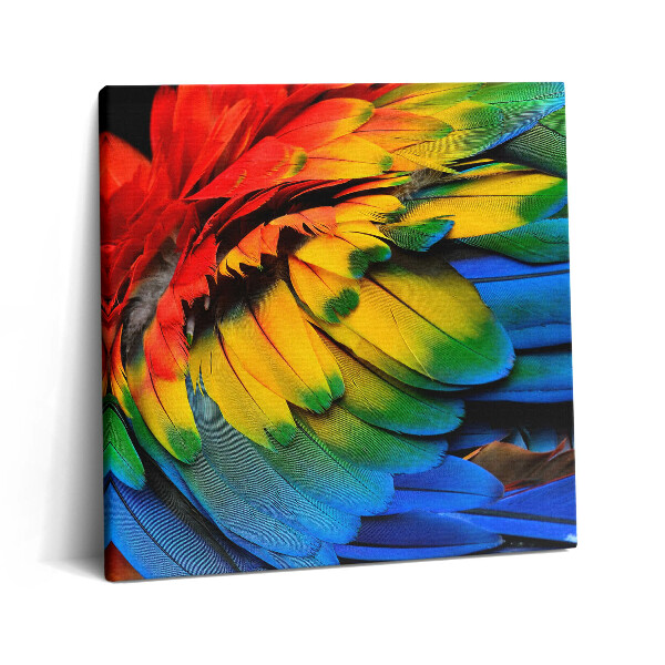 Obraz canvas 60x60 cm Barevná křídla papouška ara