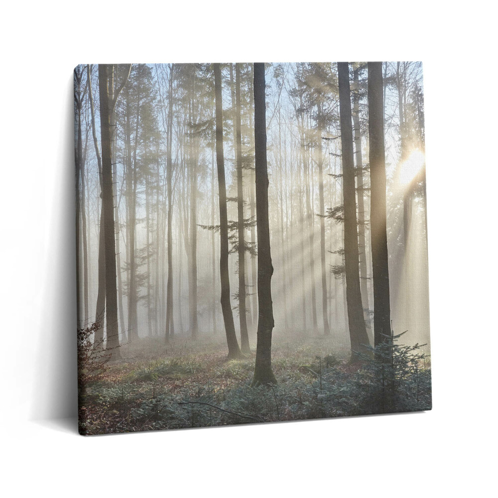 Obraz z fotografie na plátně 60x60 cm Les v mlze