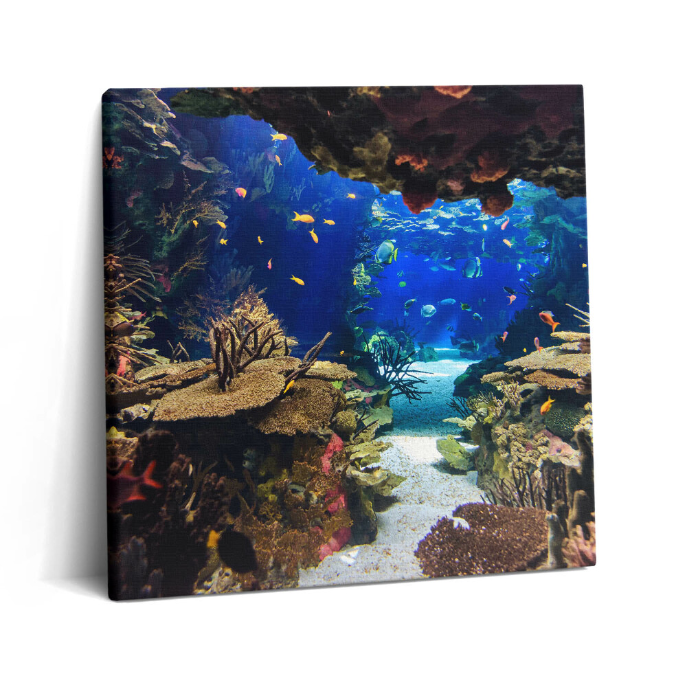 Obraz canvas 60x60 cm Akvárium