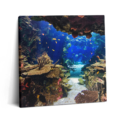 Obraz canvas 60x60 cm Akvárium