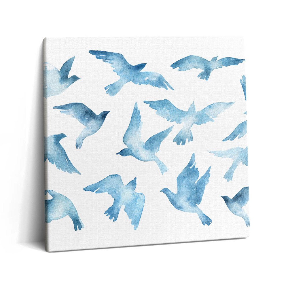 Obraz na plátně 60x60 cm Ptáci létající ve vzduchu