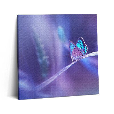 Obraz canvas 60x60 cm Motýl na trávě