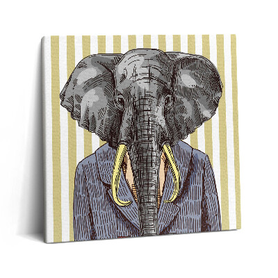 Obraz na plátně 60x60 cm Slon v bundě