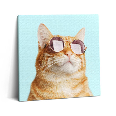 Obraz canvas 60x60 cm Legrační kočka s brýlemi