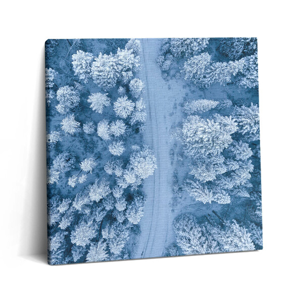 Obraz na plátně 60x60 cm Les z ptačí perspektivy. Drony