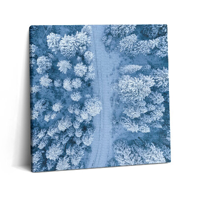 Obraz na plátně 60x60 cm Les z ptačí perspektivy. Drony