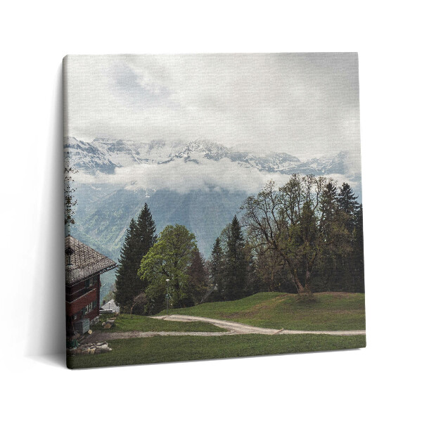 Obraz na plátně 60x60 cm Malebný pohled na hory