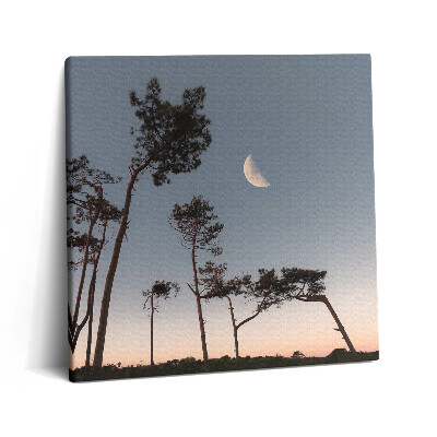 Obraz na plátně 60x60 cm Půlměsíc a stromy