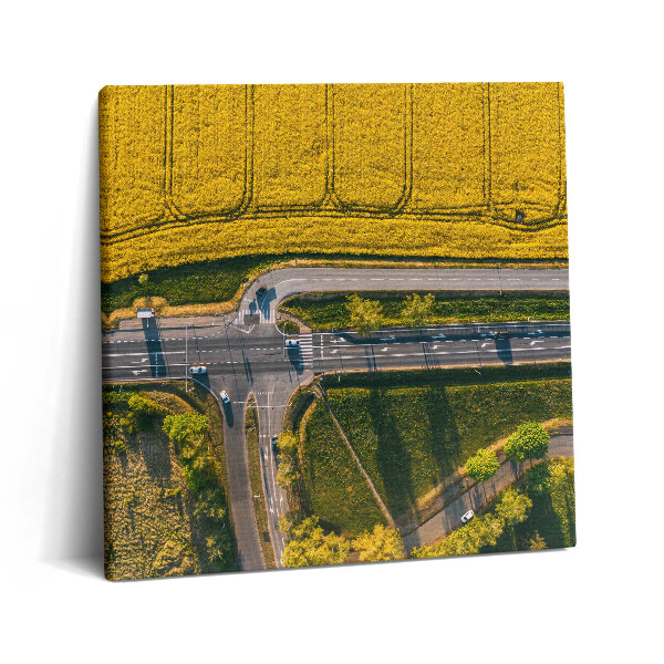 Obraz na plátně 60x60 cm Pole z dronu v Poznani