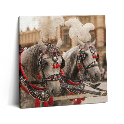 Obraz na plátně 60x60 cm Krásní koně v Krakově