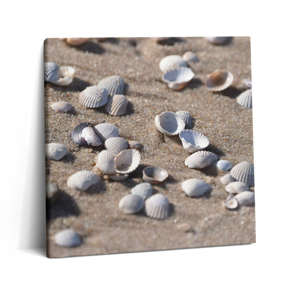 Obraz z fotografie na plátně 60x60 cm Mušle na pláži