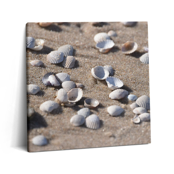 Obraz z fotografie na plátně 60x60 cm Mušle na pláži