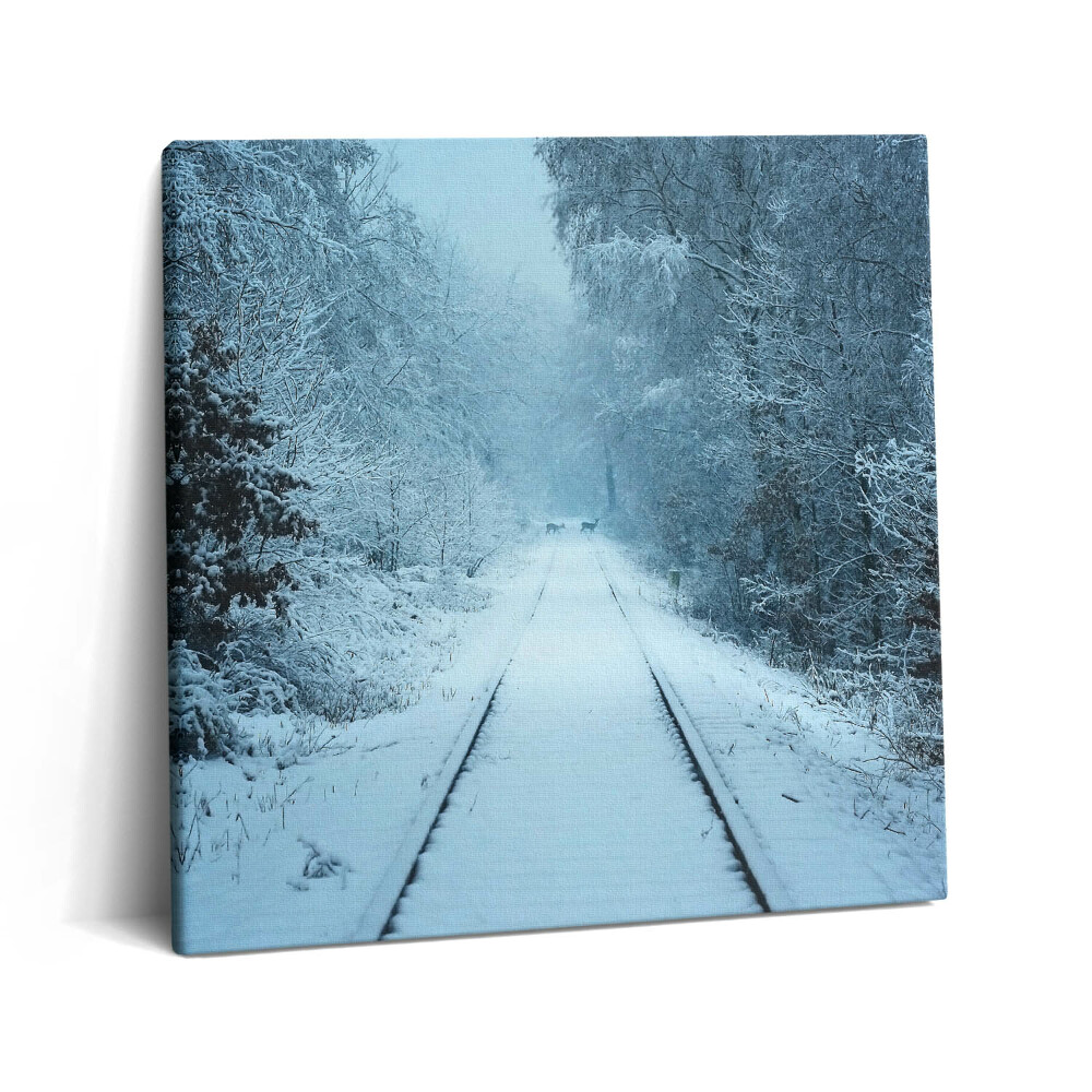 Obraz na plátně 60x60 cm Jelen na kolejích