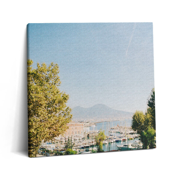 Obraz na plátně 60x60 cm Zelené stromy v Neapoli