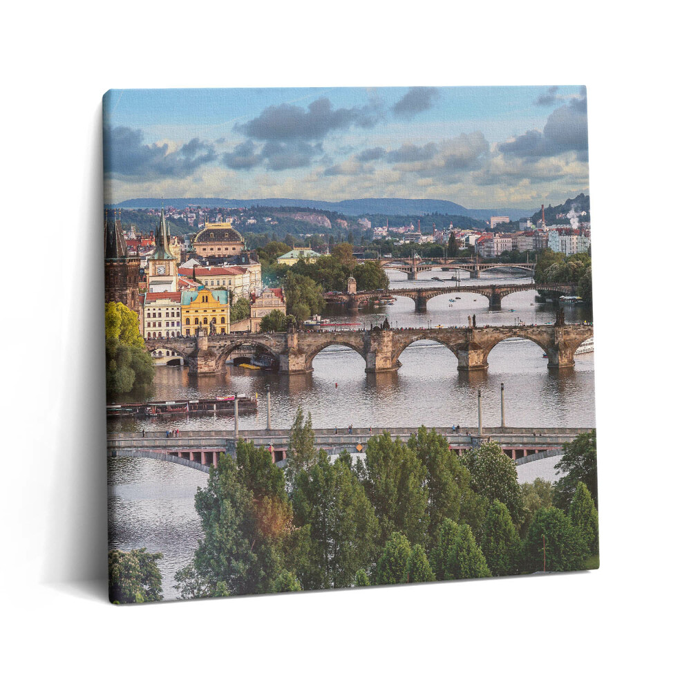 Obraz na plátně 60x60 cm Pohled na Prahu