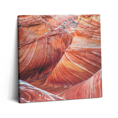 Obraz z fotografie na plátně 60x60 cm Malebný Grand Canyon