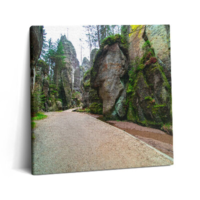 Obraz na plátně 60x60 cm Skalní město v České republice