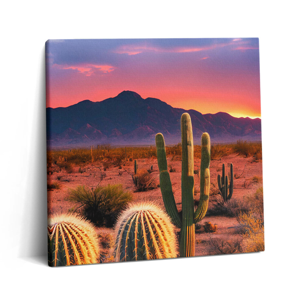 Obraz na plátně 60x60 cm Západ slunce v poušti