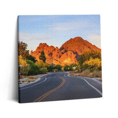 Obraz canvas 60x60 cm Pohled na horu Camelback