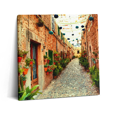 Obraz na plátně 60x60 cm Ulice ve vesnici Valldemossa
