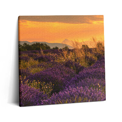 Obraz z fotografie na plátně 60x60 cm Levandulová louka Provence Francie